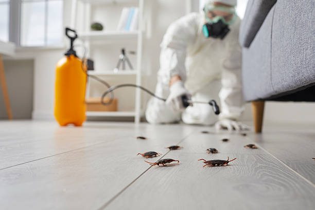 Trusted Fumigation Services service in Lake Darby, OH - Nex Pest Control